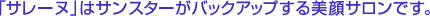 �u�T���[�k�v�̓T���X�^�[���o�b�N�A�b�v�������T�����ł��B