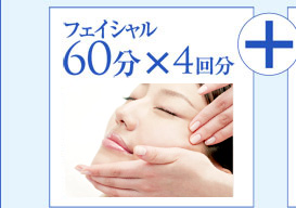 �t�F�C�V���� �U�O���~�S�񕪁@�{