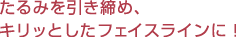 ����݂��������߁A�L���b�Ƃ����t�F�C�X���C����
