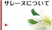 �T���[�k�t�F�C�V�����T�����ɂ���