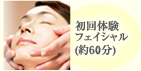 ����̌��t�F�C�V�����i��60���j