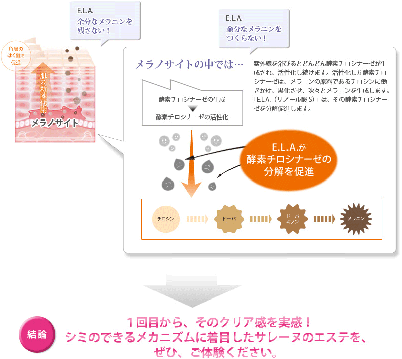 １回目から、そのクリア感を実感！シミのできるメカニズムに着目したサレーヌのエステを、ぜひ、ご体験ください。